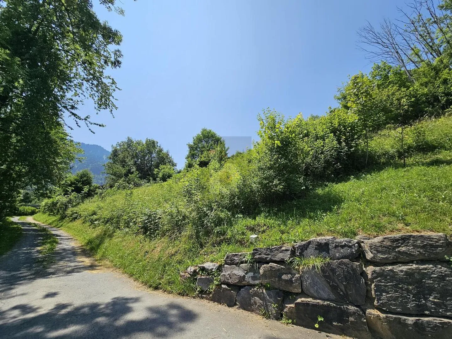 PROJECT WITH VALID PERMIT AND SPLENDID VIEW! - Photo 2 of 6