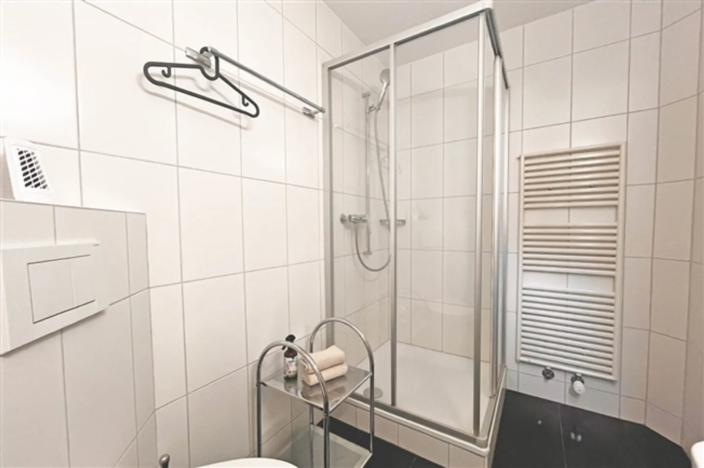 5½ ROOM APARTMENT IN LUCERNE, FURNISHED, TEMPORARY - Photo 10 of 10