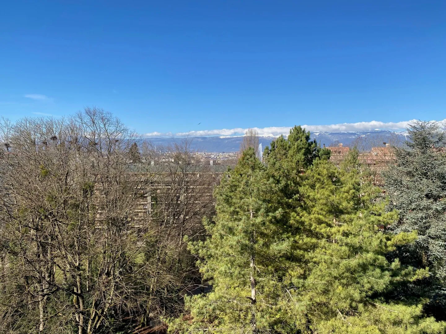 Appartamento in vendita - Foto 18 di 19