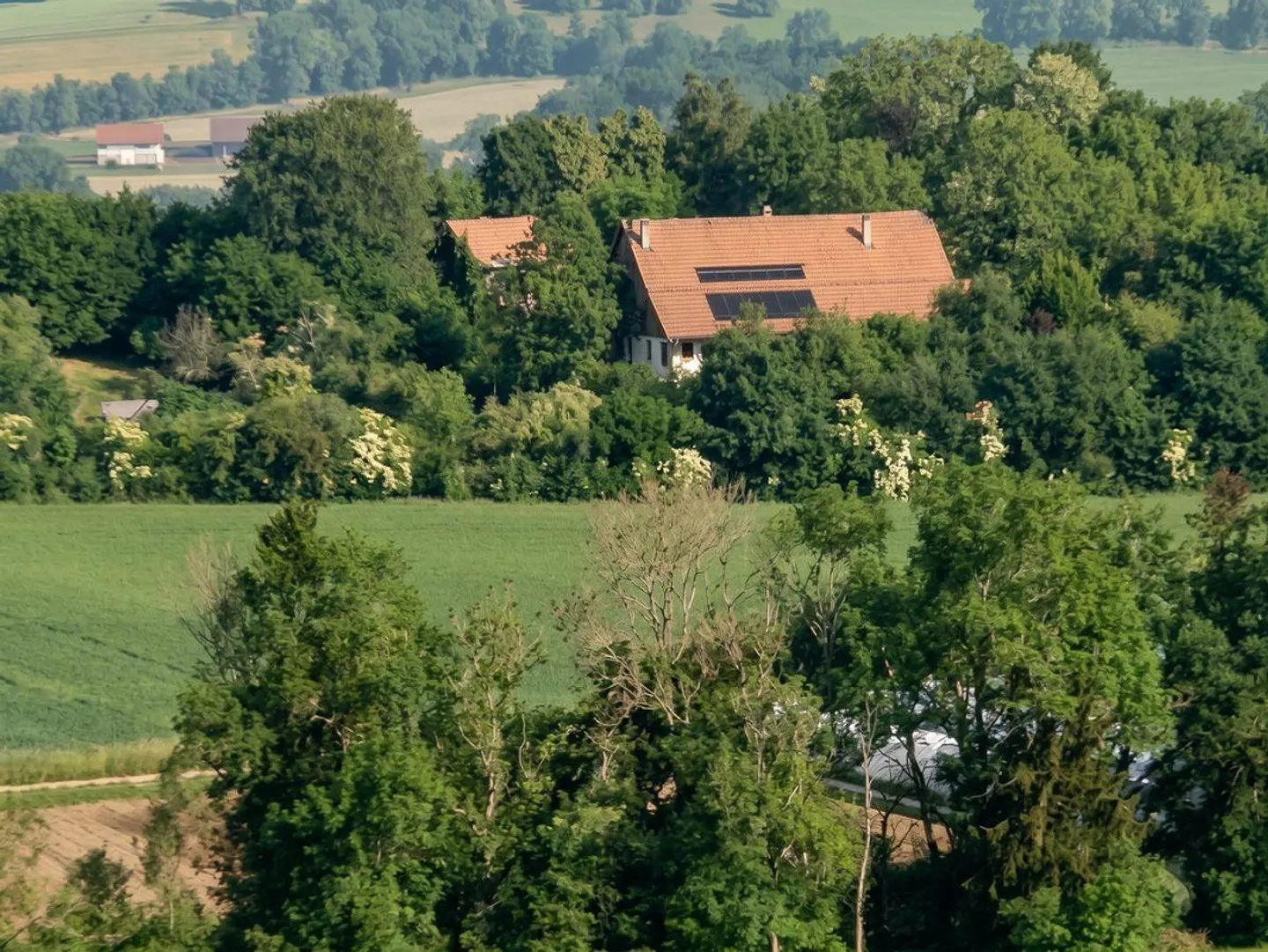 Appartamento in vendita con 2126m2 di terreno privato - Foto 13 di 13