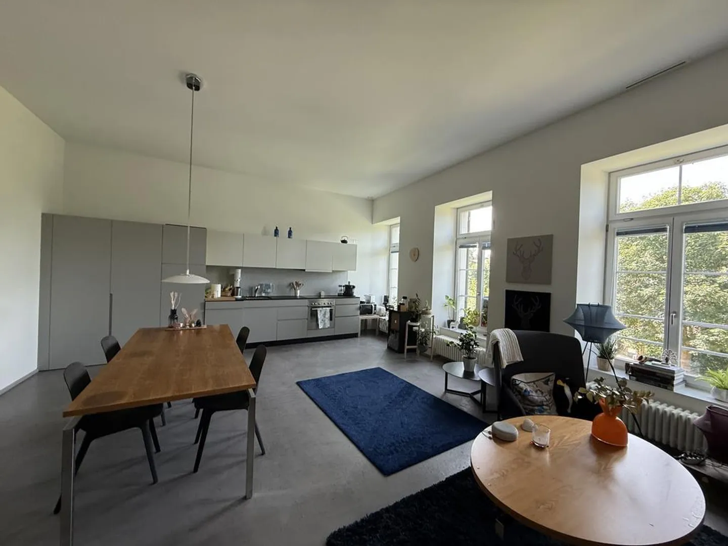 Appartamento moderno sul Reno - 1 mese di soggiorno gratuito - Foto 3 di 7