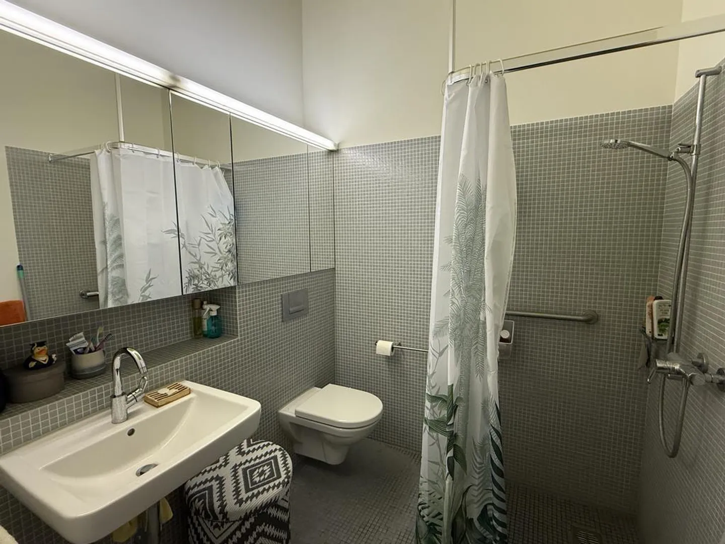 Appartamento moderno sul Reno - 1 mese di soggiorno gratuito - Foto 6 di 7