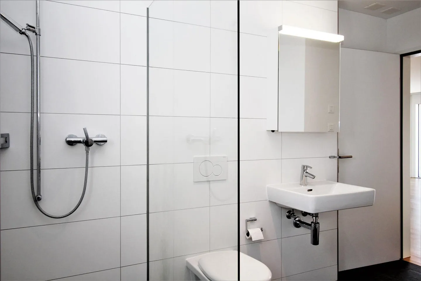 Modern 5.5 Room Penthouse Apartment in the Center of Feuerthalen - Photo 7 of 13