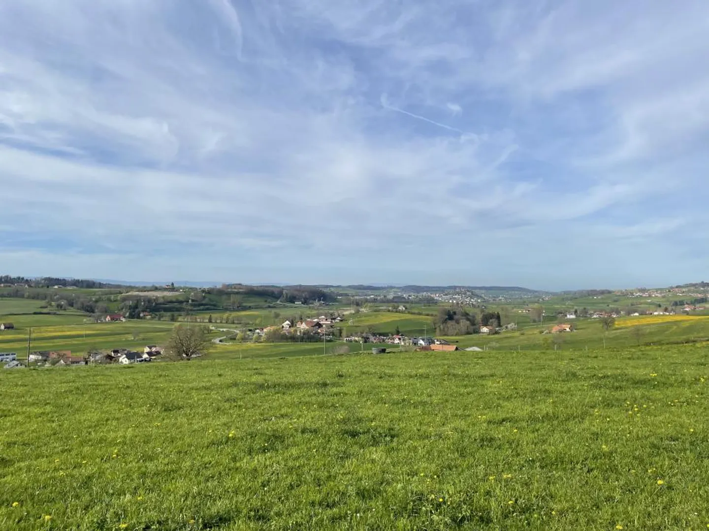 BAT3 LOT3 - MAGNIFICA APPARTAMENTO DI 4,5 STANZE CON VISTA SUL PAESAGGIO - Foto 3 di 8