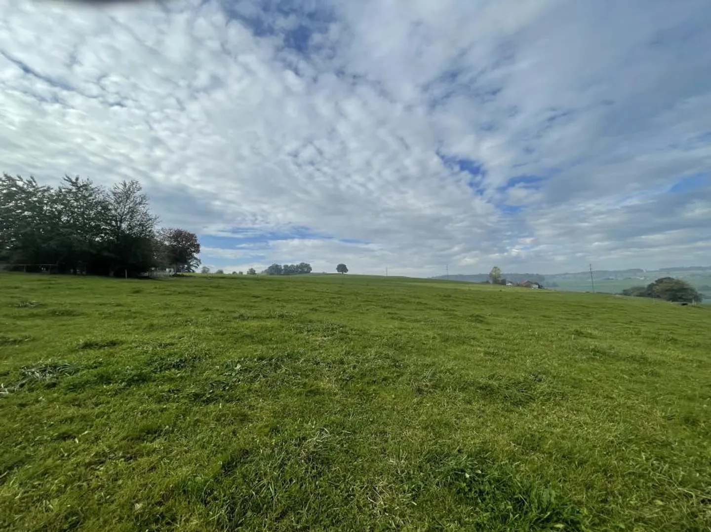 BAT3 LOT3 - MAGNIFICA APPARTAMENTO DI 4,5 STANZE CON VISTA SUL PAESAGGIO - Foto 4 di 8