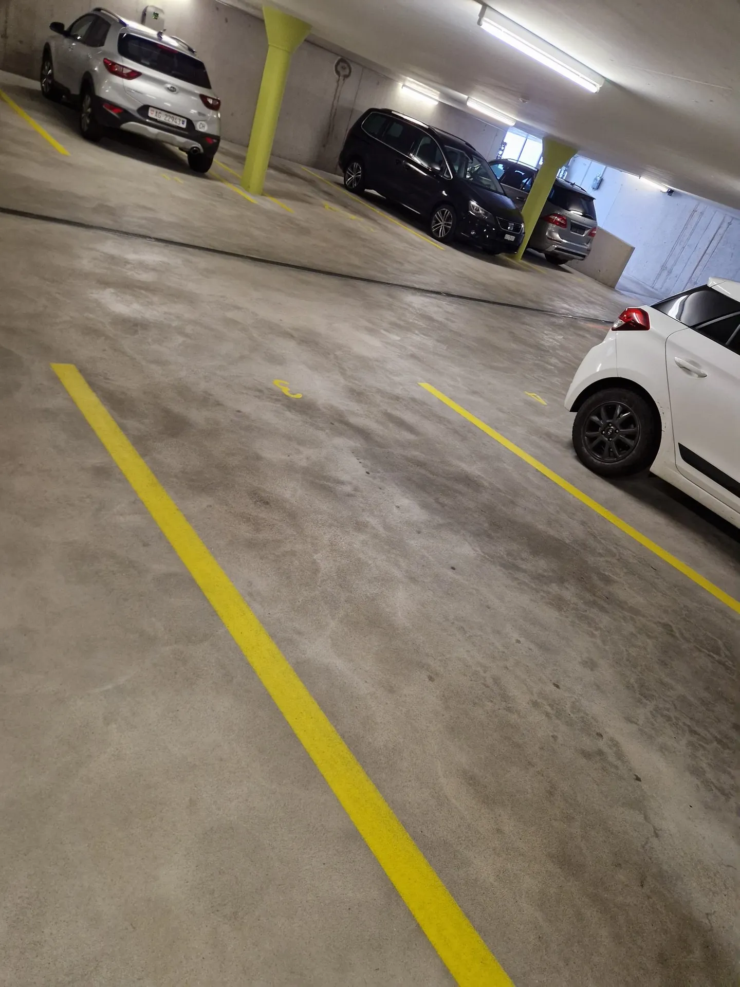 Spacious 4.5 Room Garden Apartment - Photo 14 of 14