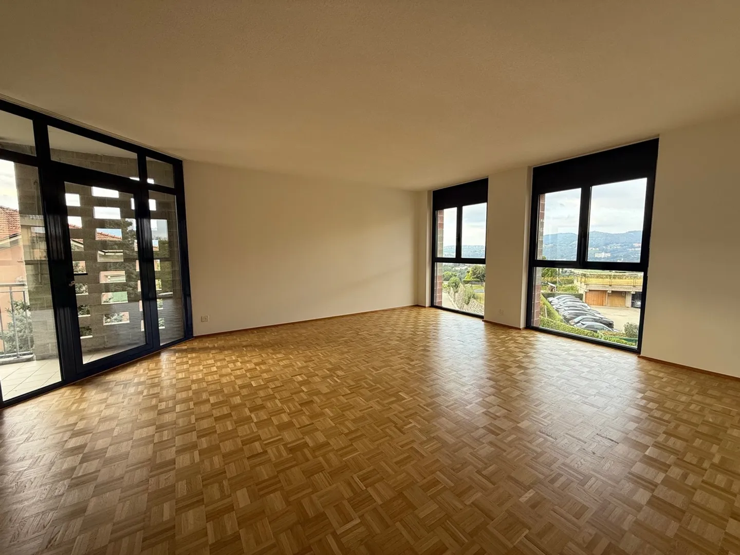 Bella appartamento di 4.5 stanze in una posizione molto conveniente e tranquilla con vista sui vigneti - Foto 3 di 12
