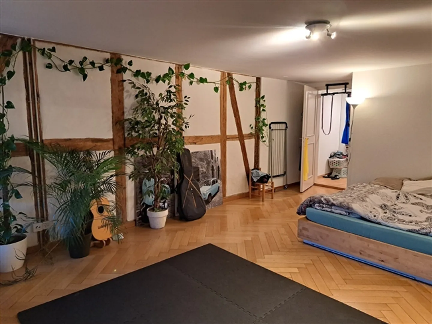 APPARTAMENTO 2 STANZE A BERN - CITTÀ VECCHIA, ARREDATO, TEMPORANEO - Foto 9 di 10