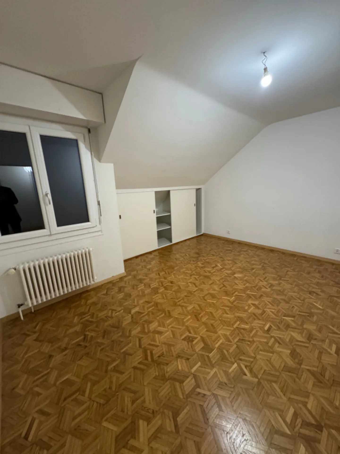 5.5-room duplex in La Croix-de-Rozon - Photo 5 of 9
