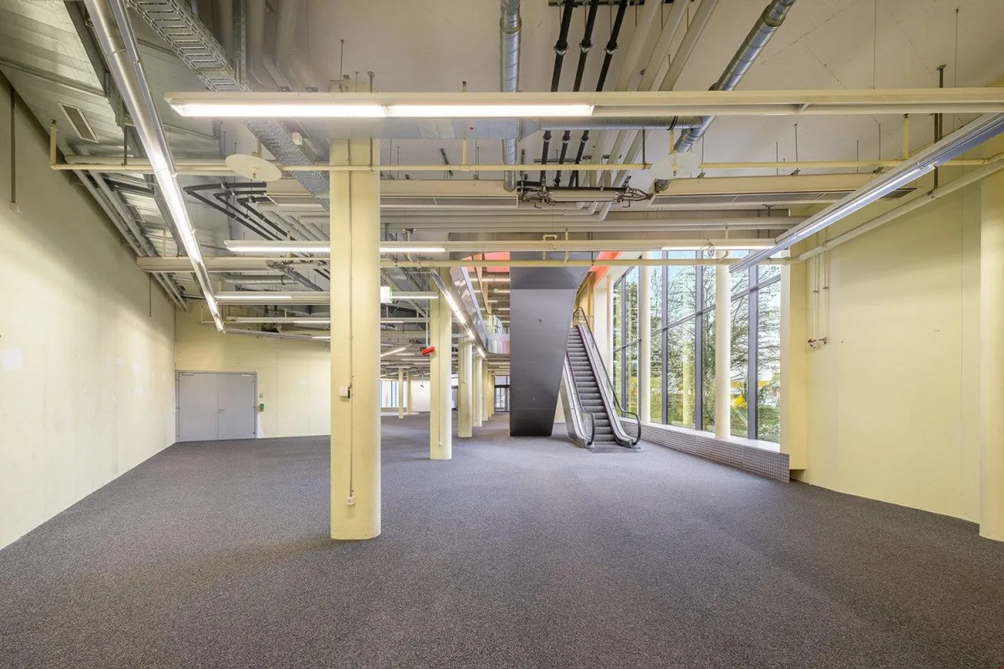 FORTIS - Retail at its best - Photo 5 of 11