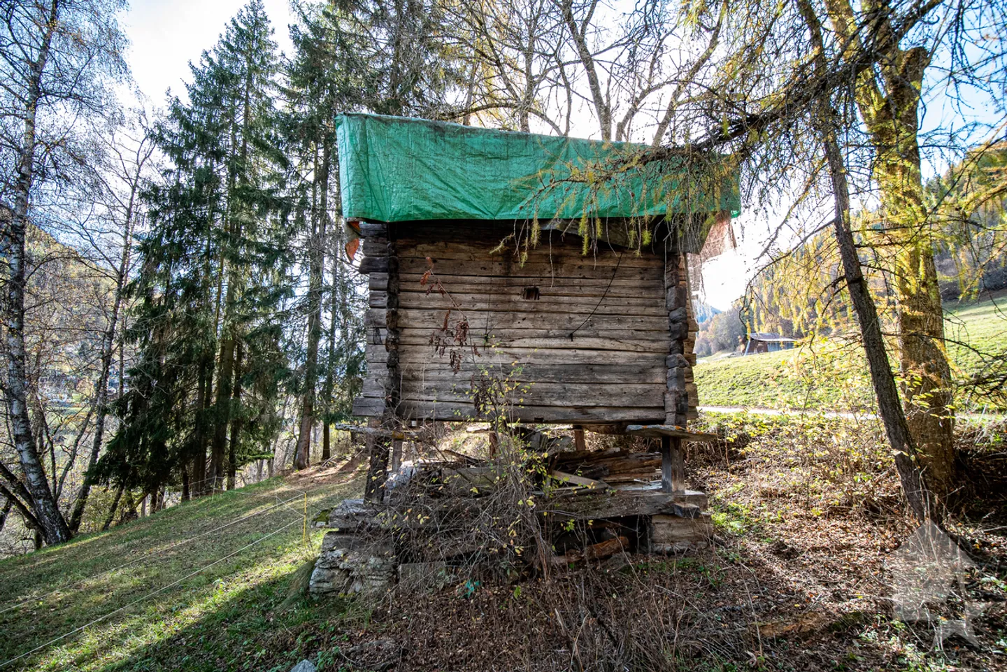 Majestueuse demeure de maître sur une magnifique parcelle arborée - Photo 43 sur 59