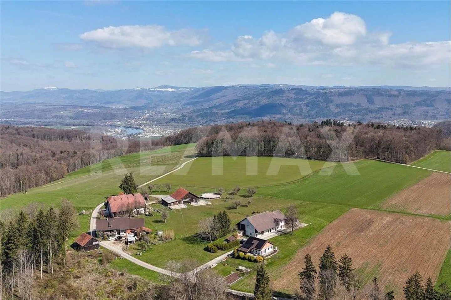 Nel verde - lontano dal trambusto - Foto 13 di 13