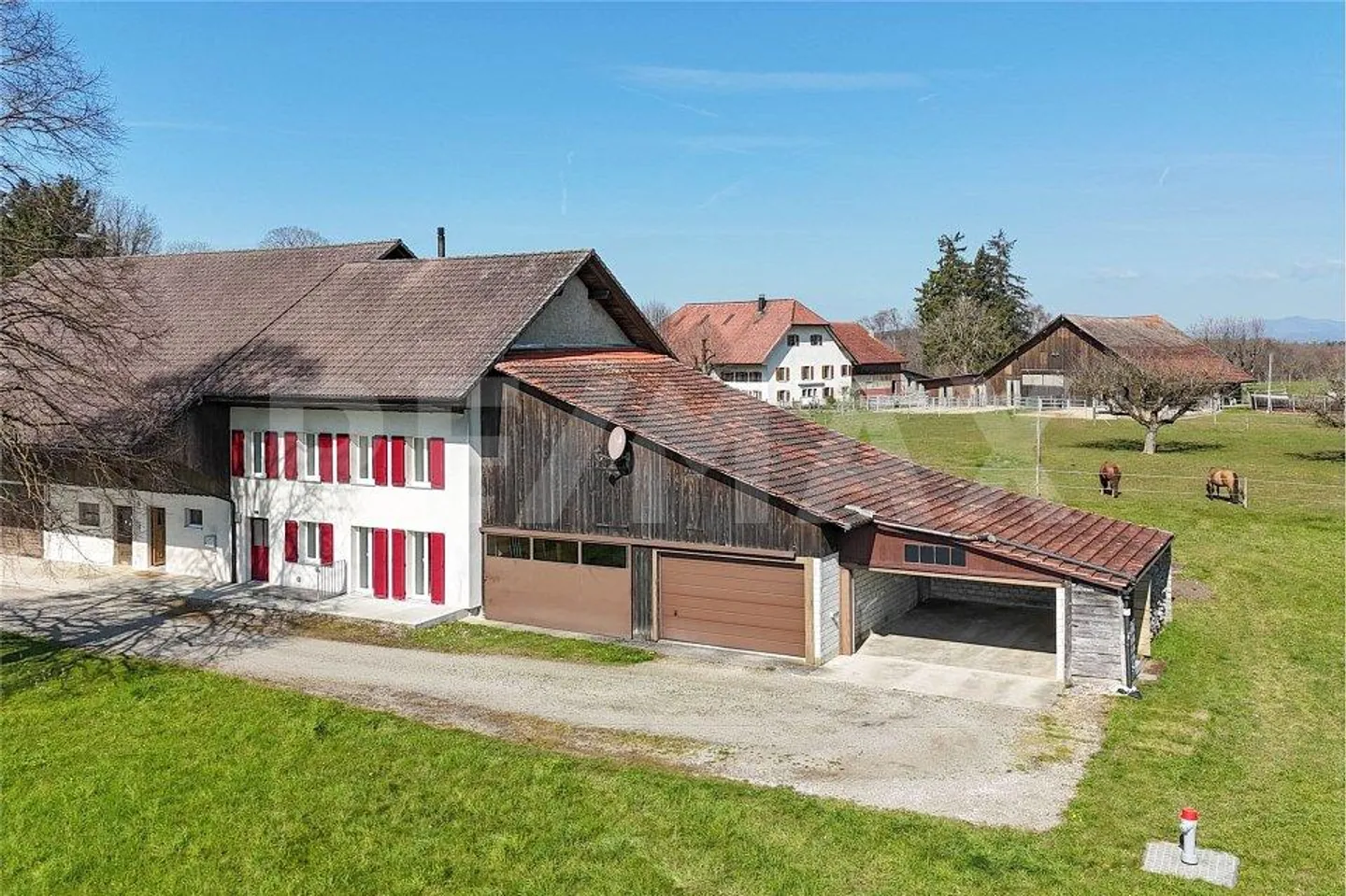 Nel verde - lontano dal trambusto - Foto 12 di 13