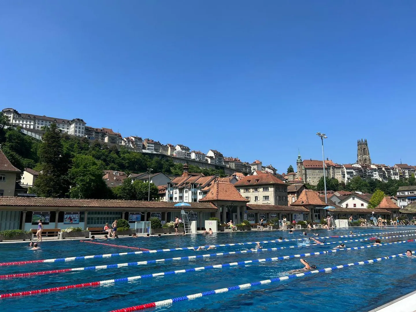 Appartamento 2,5 locali - Foto 12 di 12