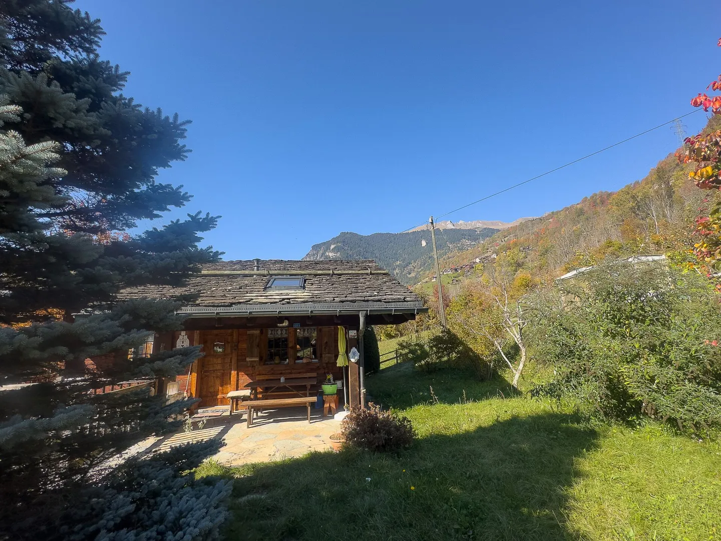 Absolute Charm - Photo 13 of 15