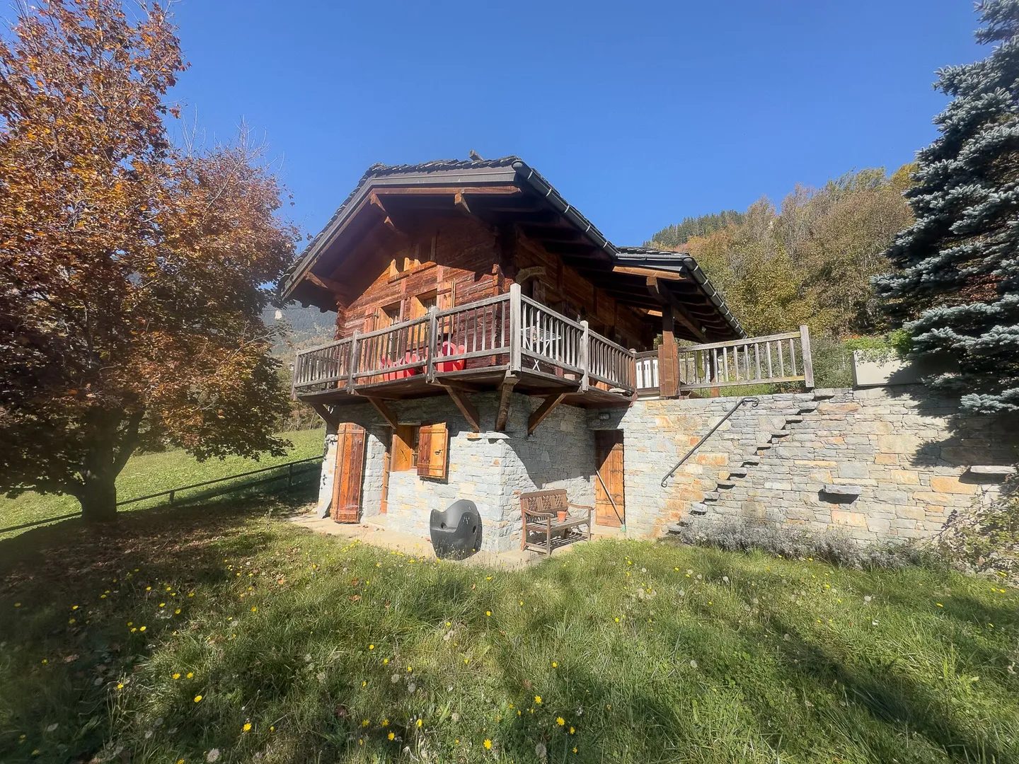 Absolute Charm - Photo 14 of 15