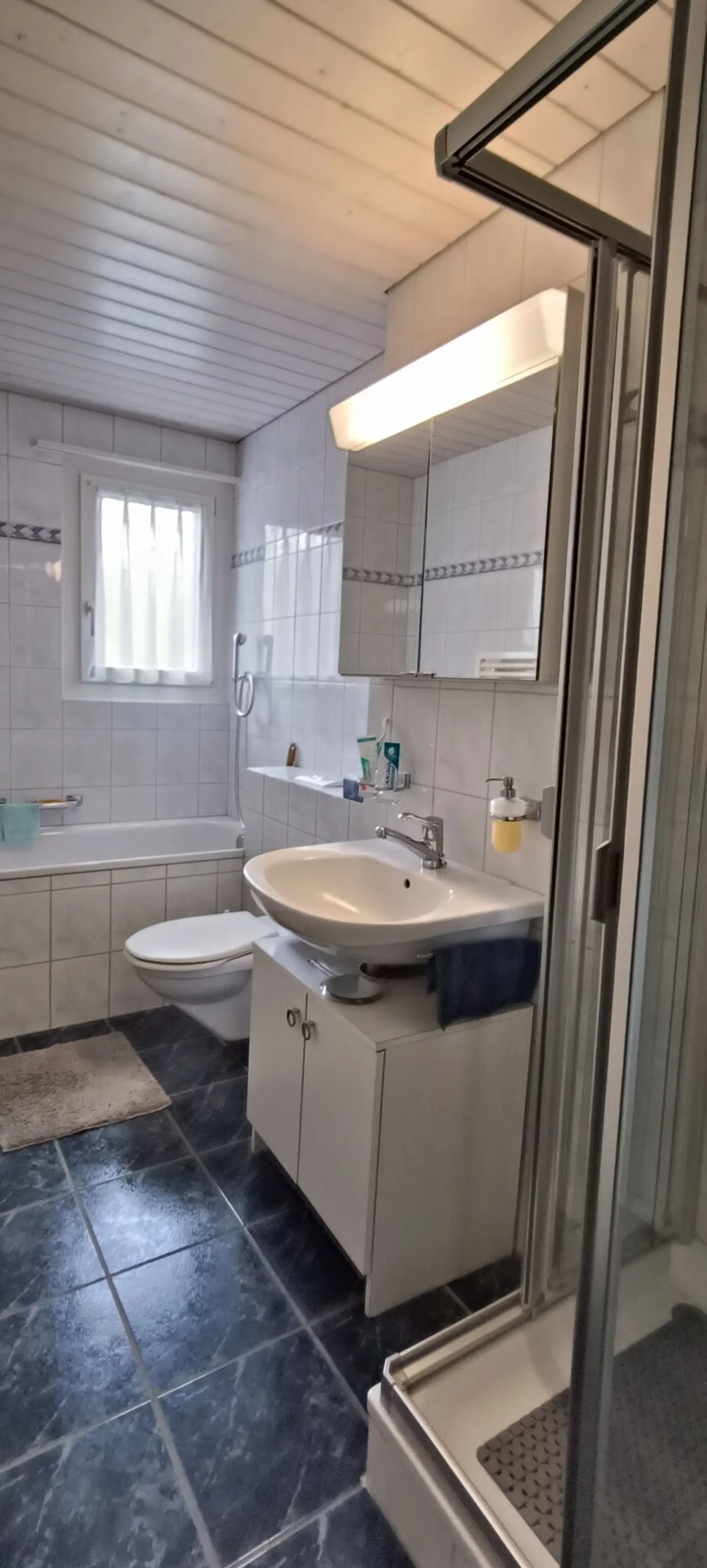Appartement temporaire de 4,5 pièces avec jardin à Sursee - Photo 5 sur 8