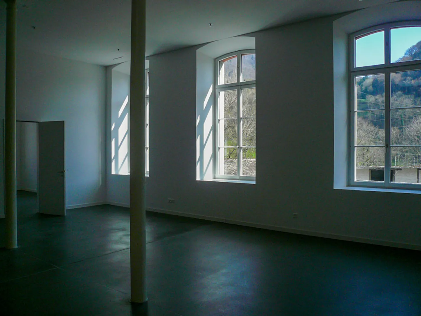 Exclusive Residential or Office Loft - Photo 4 of 7