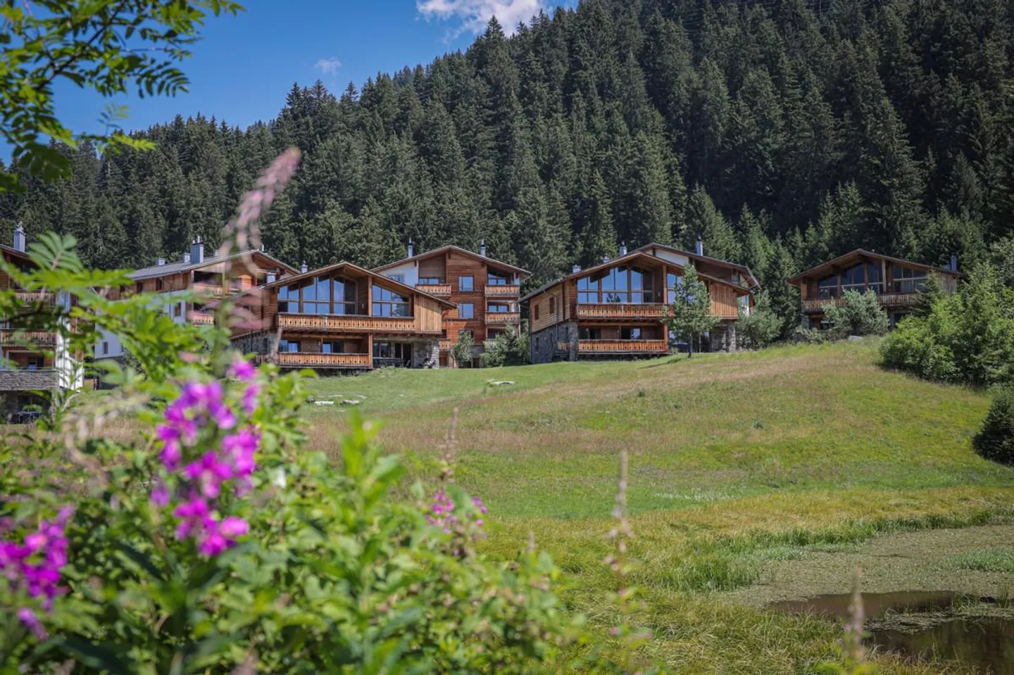 Penthouses esclusivi nella PRIVÀ Alpine Lodge Lenzerheide - Foto 2 di 6