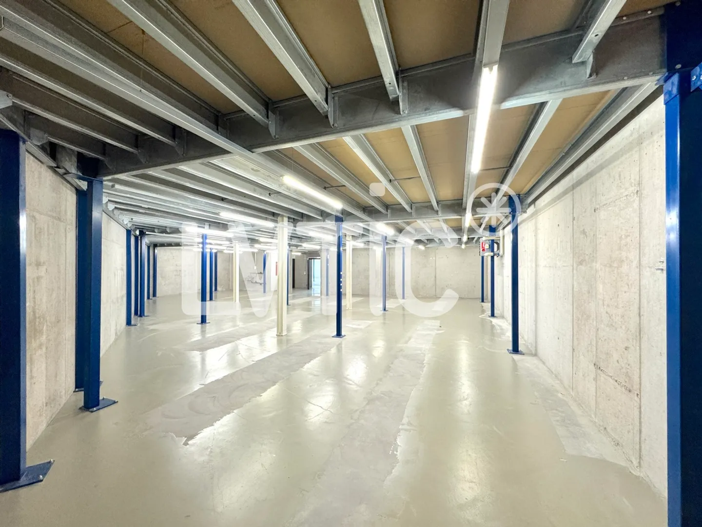 Locali, Showroom, Magazzino di 1165 m2 in affitto a Yverdon - Foto 4 di 12