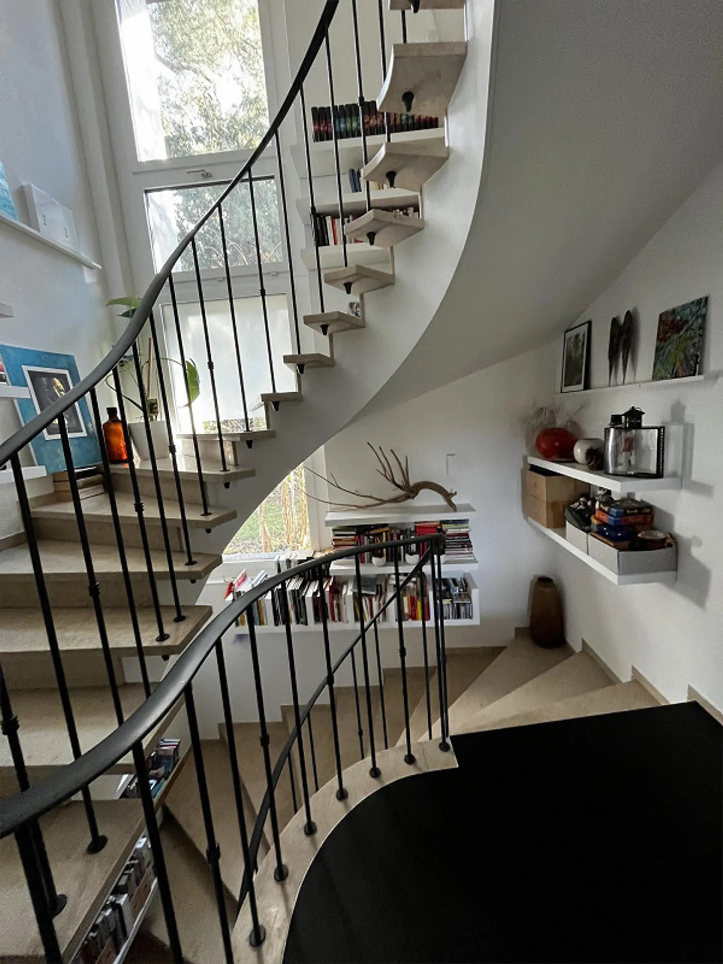 bio-top, vivre différemment avec de vieux arbres.... - Photo 9 sur 16