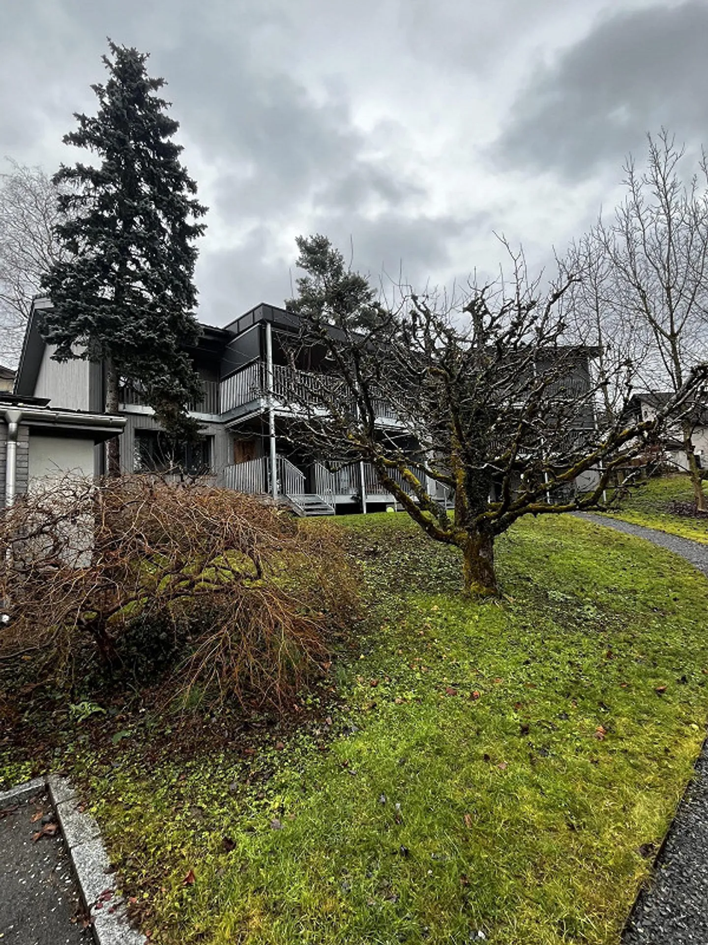 bio-top, vivre différemment avec de vieux arbres.... - Photo 13 sur 16