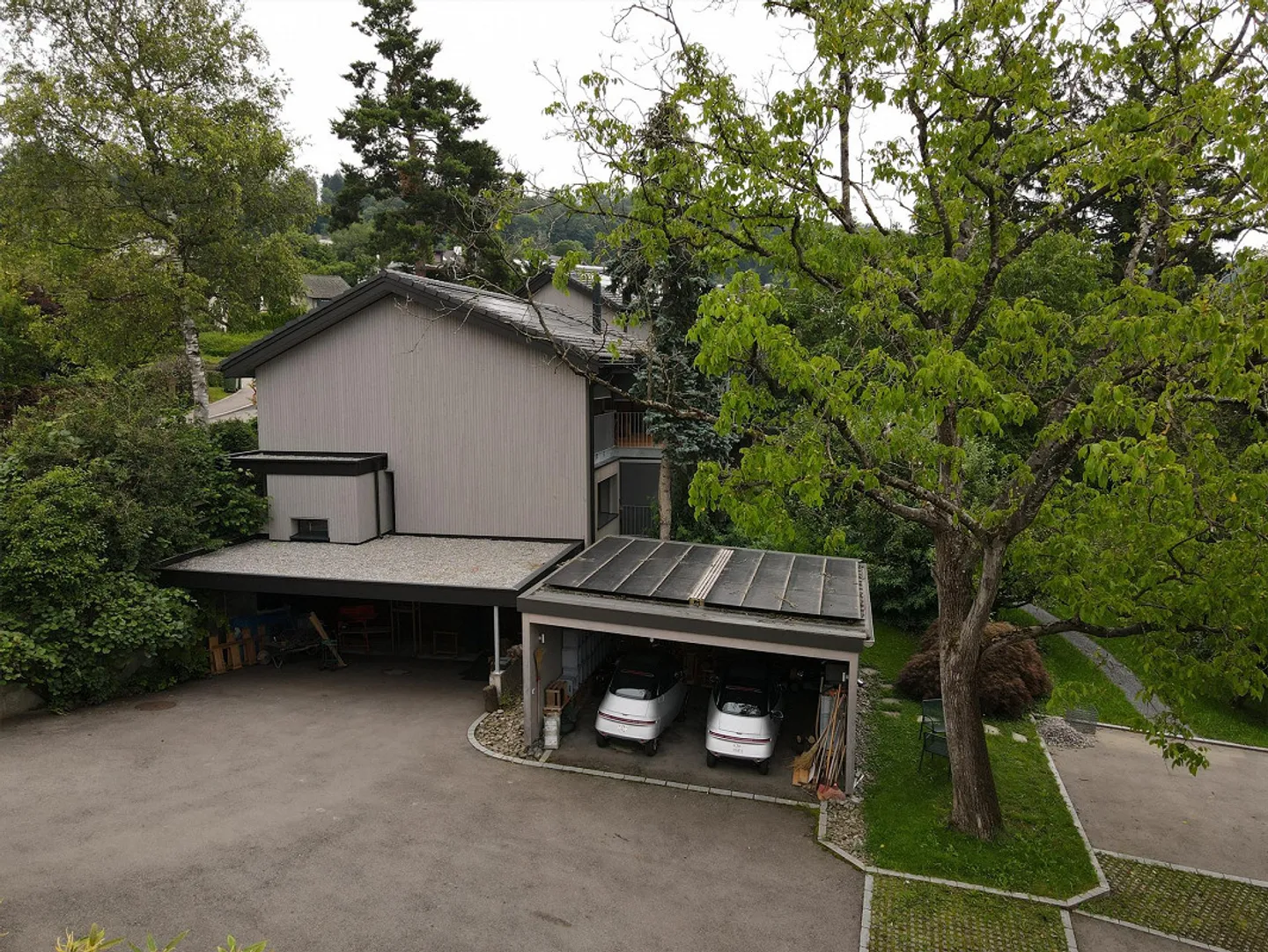 bio-top, vivre différemment avec de vieux arbres.... - Photo 16 sur 16