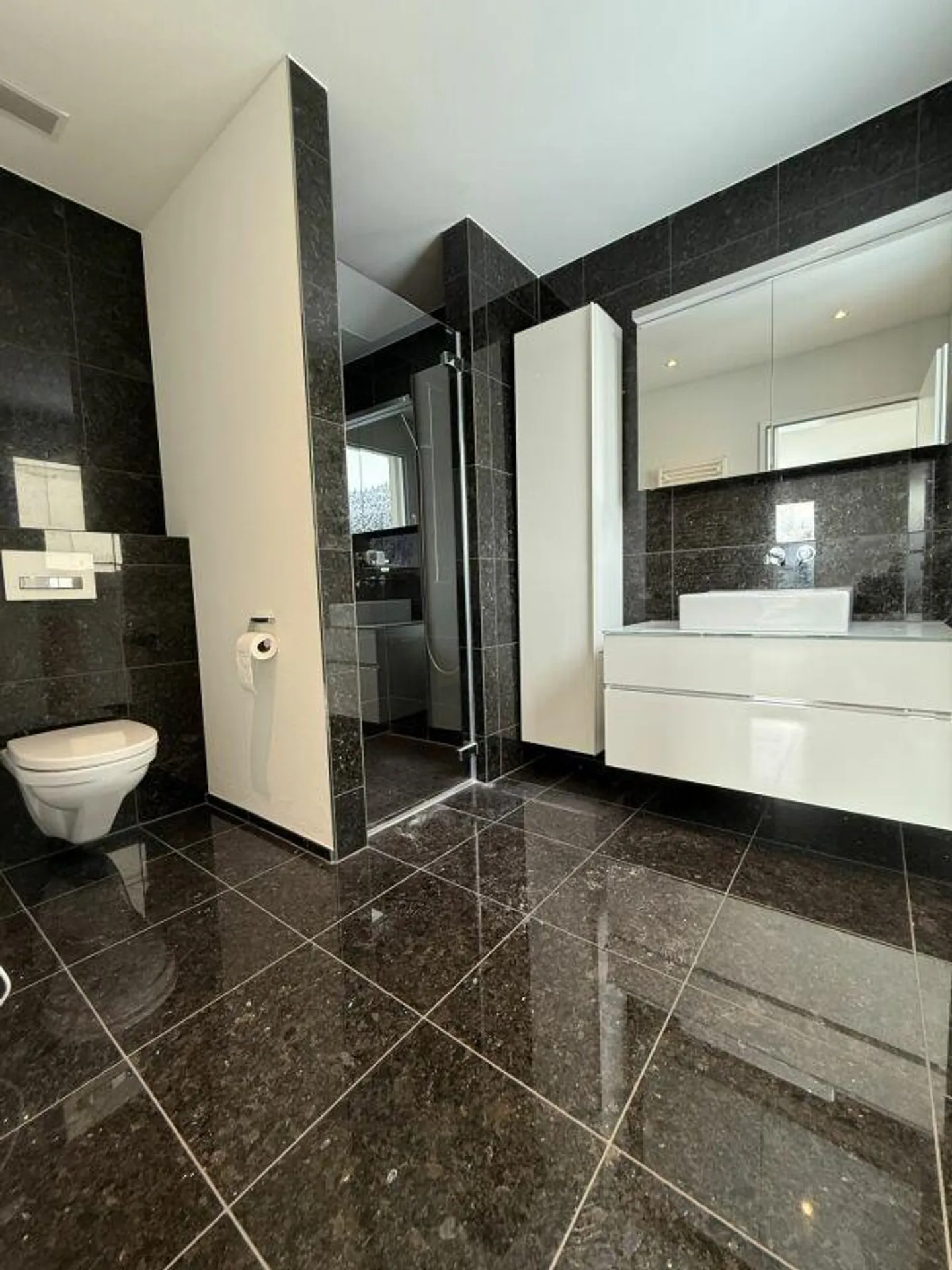 Appartement de 4,5 pièces de haute qualité avec vue sur l'Alpstein - Photo 2 sur 13