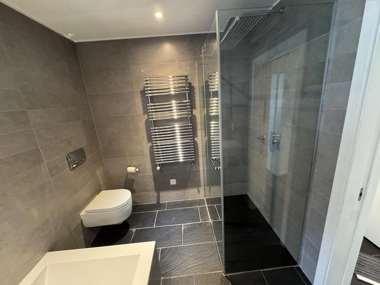 3.5 modern rooms in a villa with lake view - Photo 15 of 30