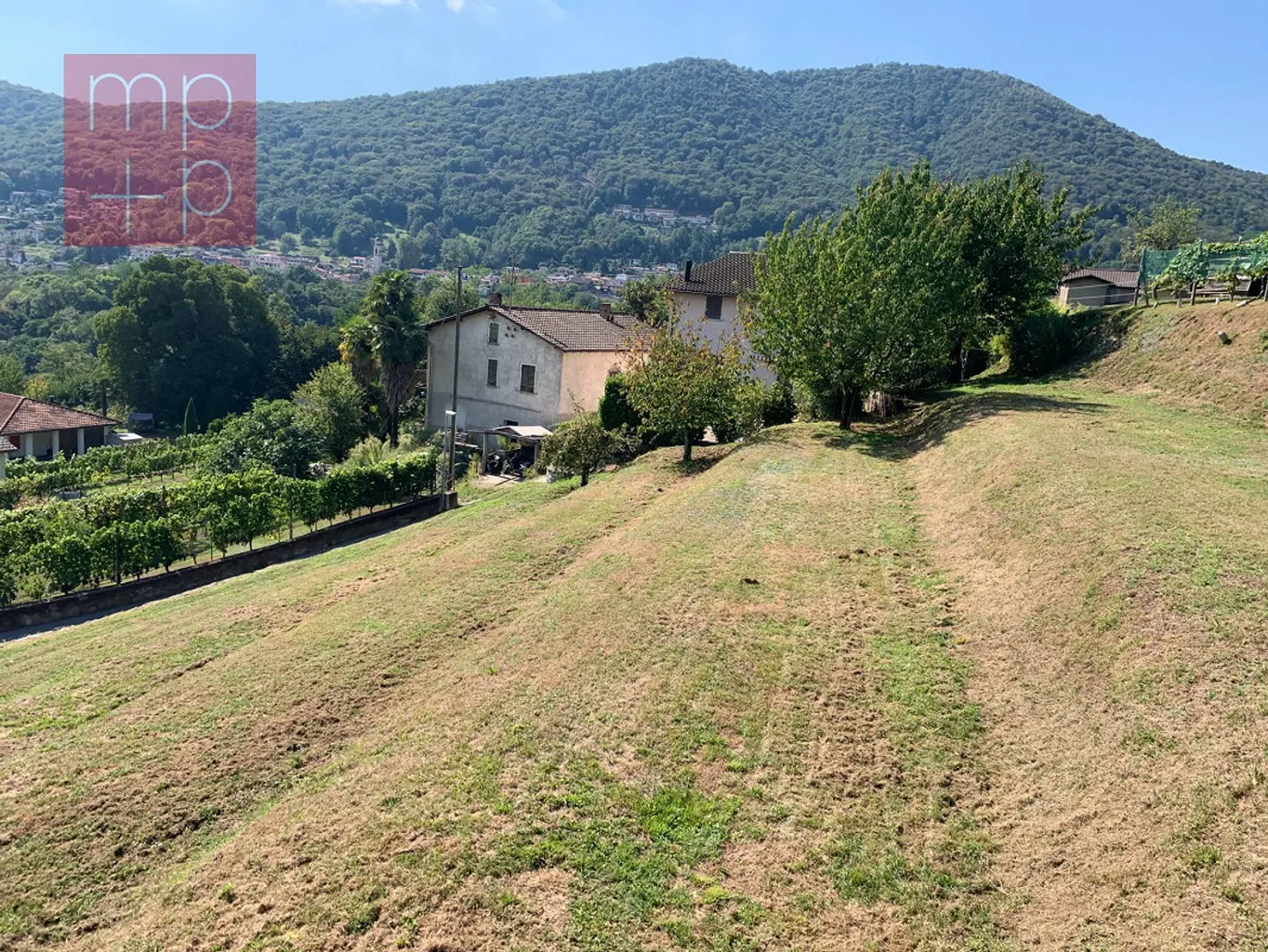 Terreno edificabile in vendita - Neggio - Foto 3 di 8