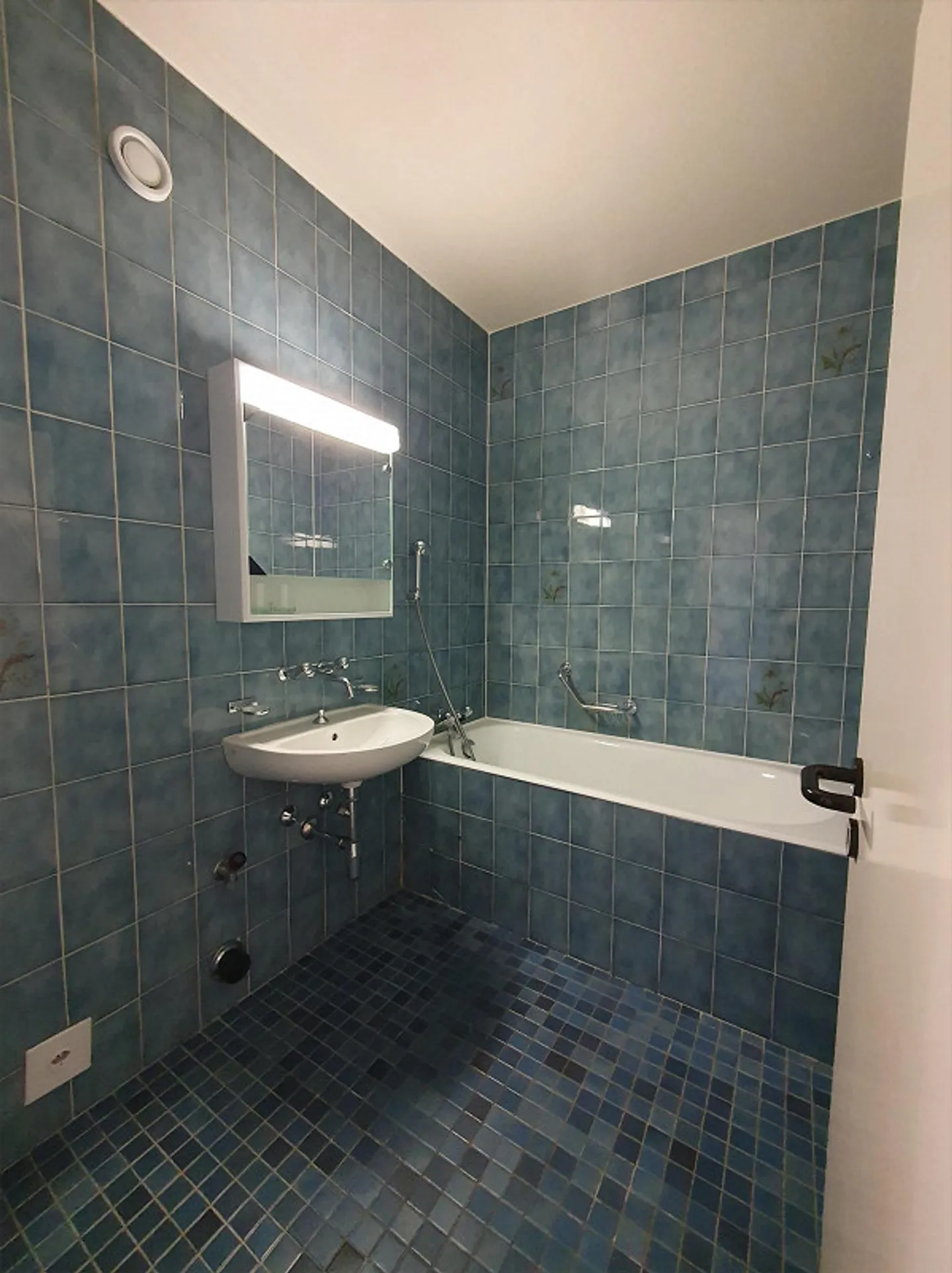 Sulle rive dell'Arve: 5 stanze - Foto 3 di 12