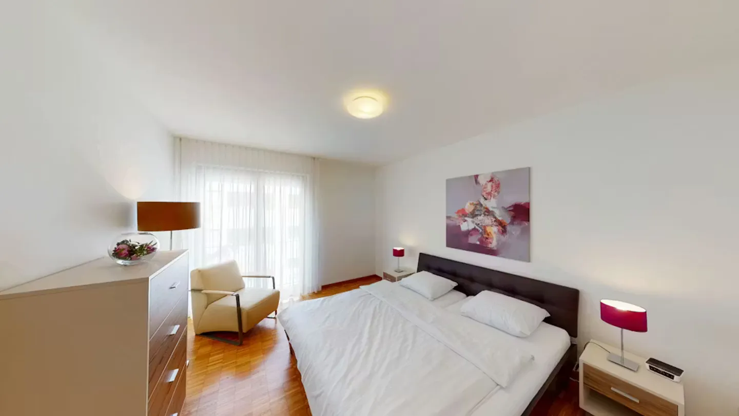 Modern Apartment in Basel - Photo 4 of 10