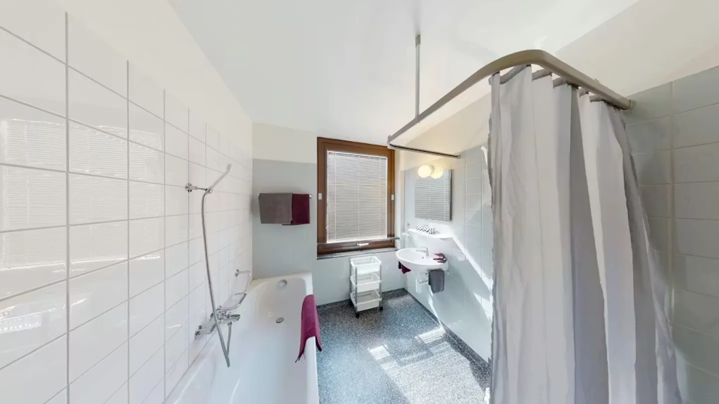 Modern Apartment in Basel - Photo 5 of 10