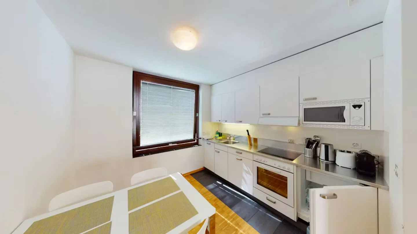 Modern Apartment in Basel - Photo 6 of 10