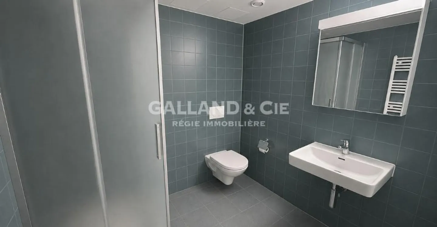Generous space for medical profession or offices - ~164 m² - Photo 6 of 9