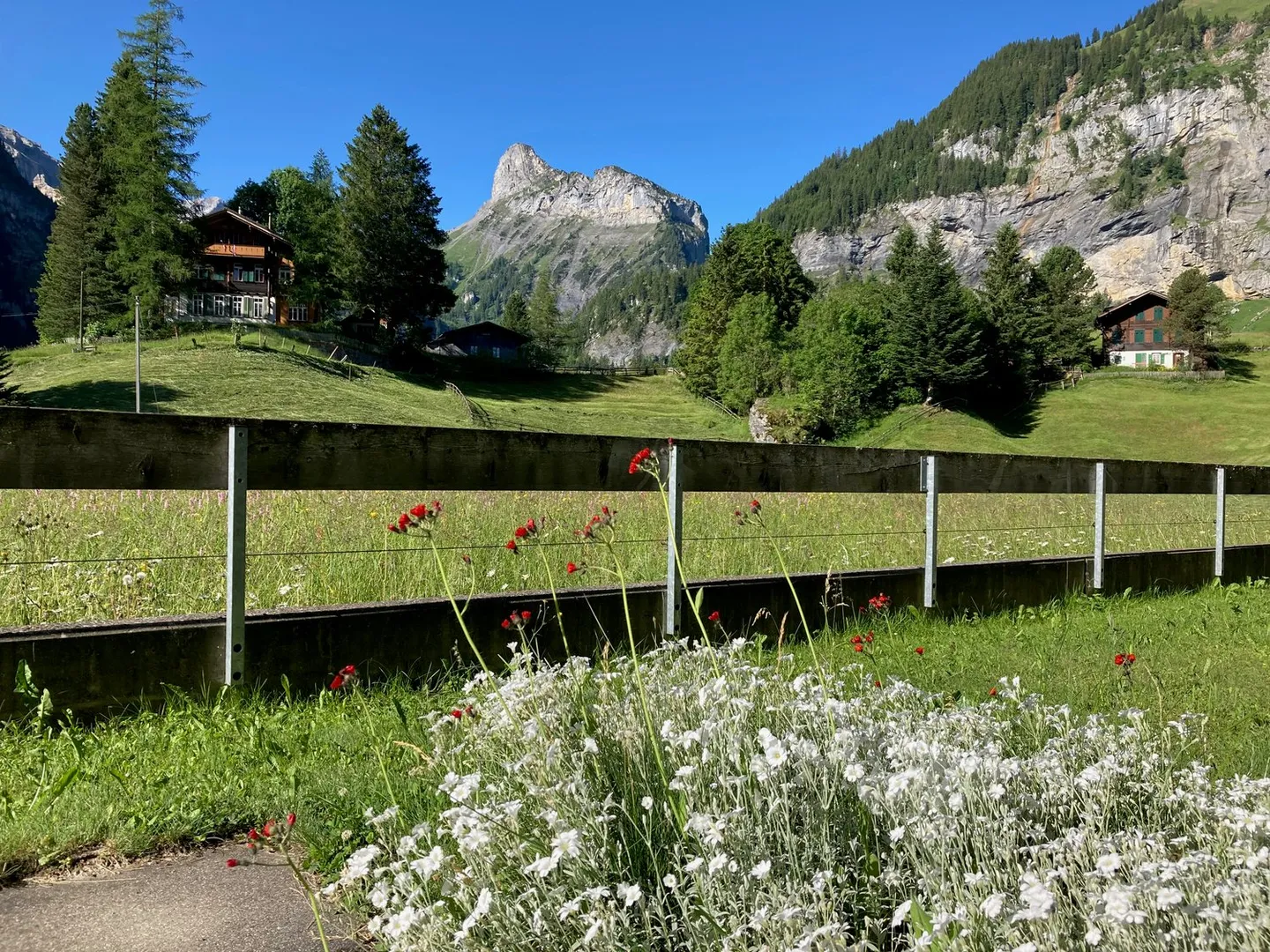 1 Room Apartment on the Ground Floor South-East - Photo 10 of 15