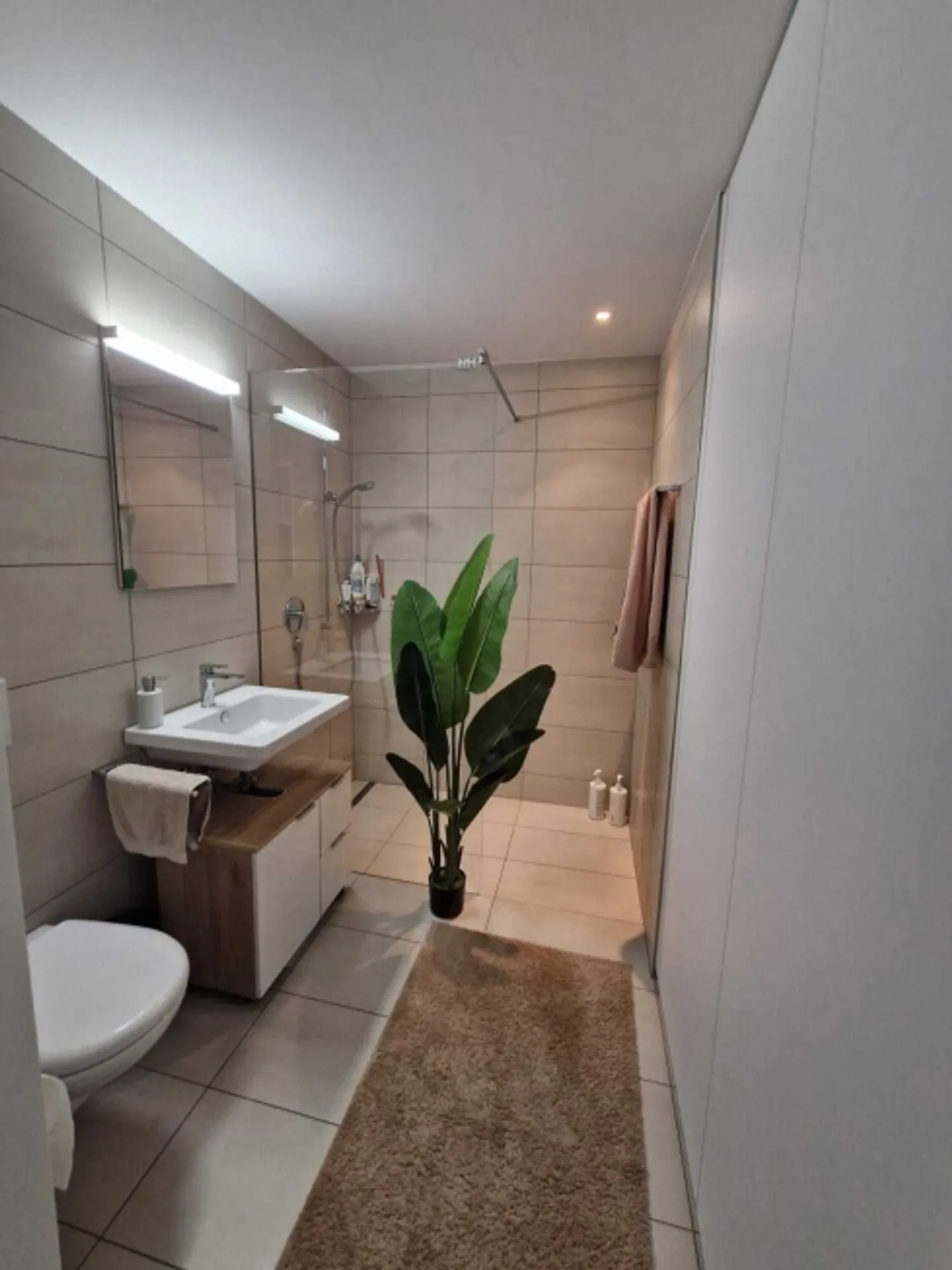 Appartamento 4½ locali a Männedorf (ZH), arredato, temporaneo - Foto 7 di 9