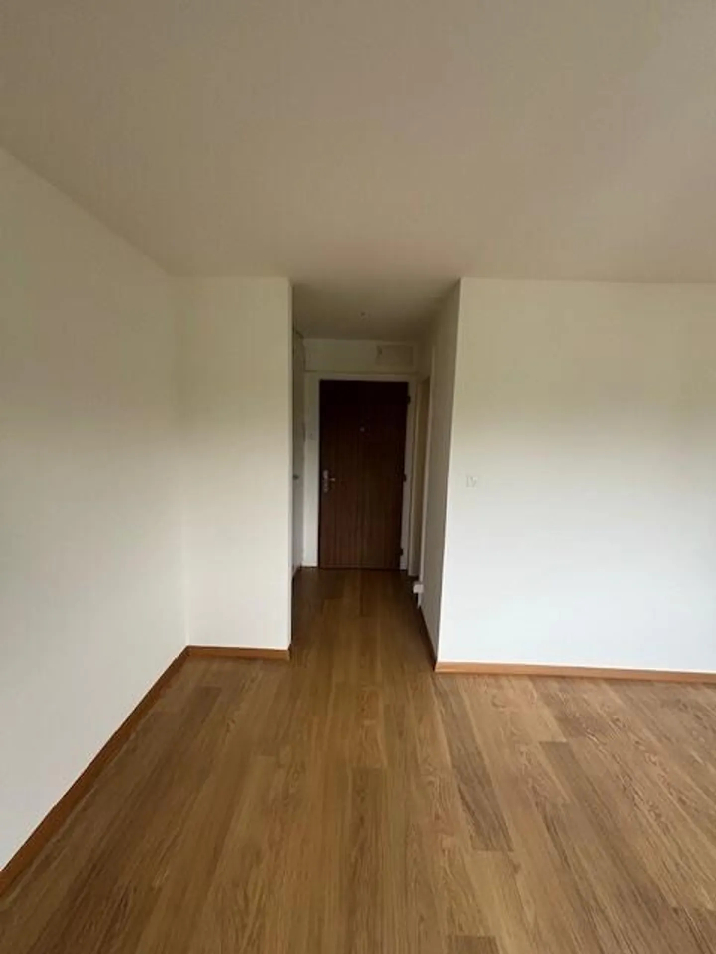 Viewing: Wednesday, March 11, 2026 from 6:00 PM to 7:00 PM - Photo 7 of 9