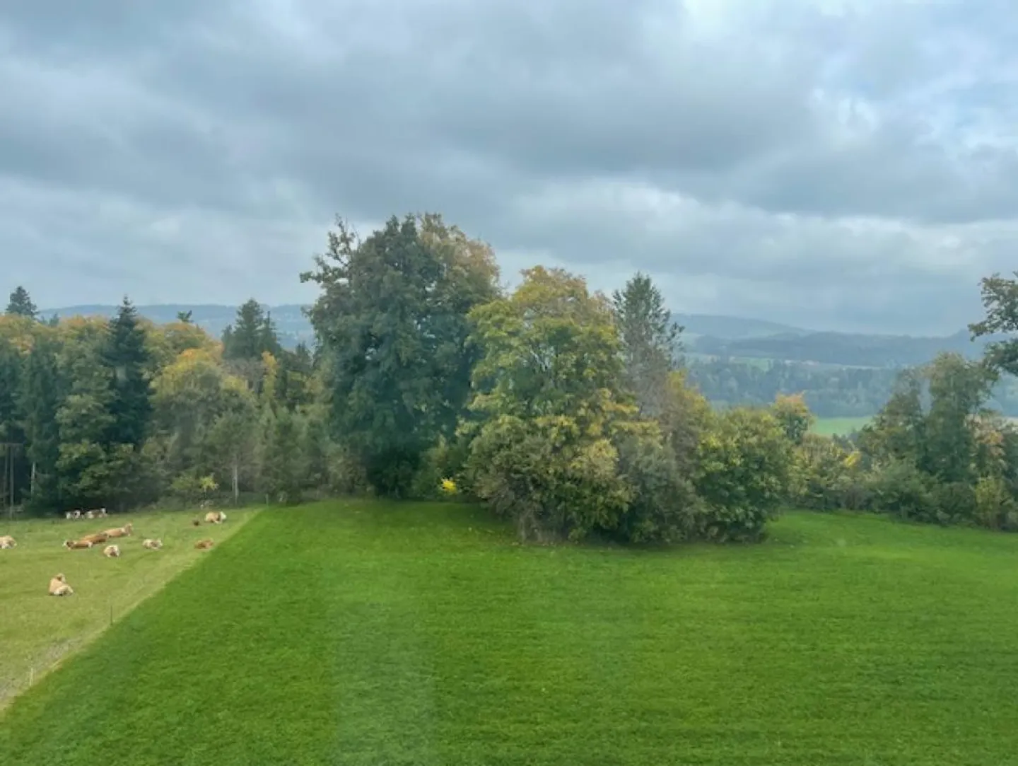 Grossräumige Bürofläche mit Aussicht - Foto 9 von 9