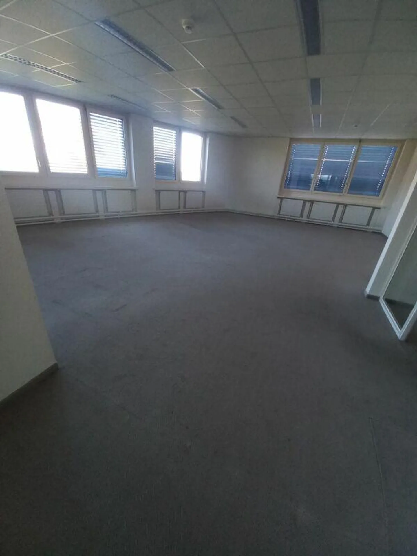 Grossräumige Bürofläche mit Aussicht - Foto 7 von 9