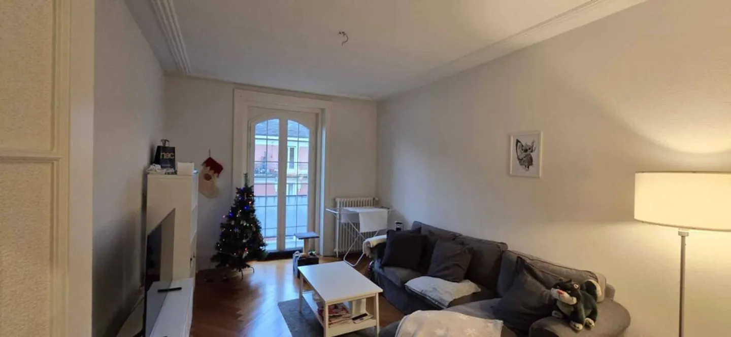 Charming Apartment in Lausanne - Photo 4 of 7