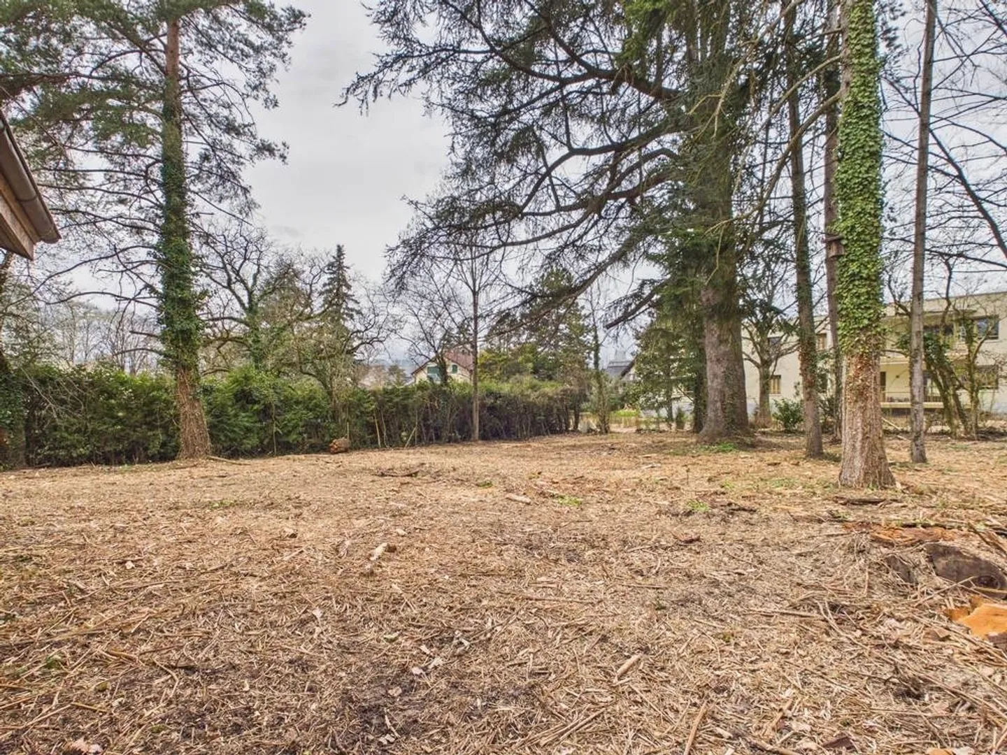 Invest in a green setting - Onex, Zone 5 - Photo 4 of 7