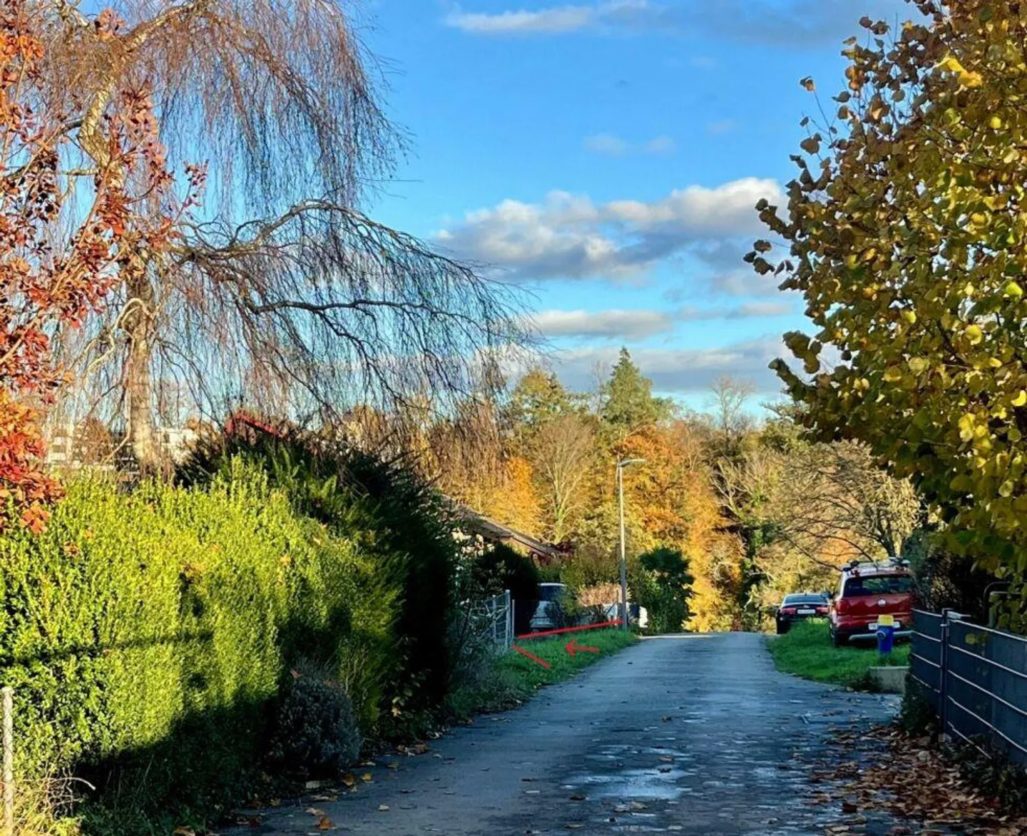 Vielseitiges Bauland in Allschwil - Foto 3 von 4