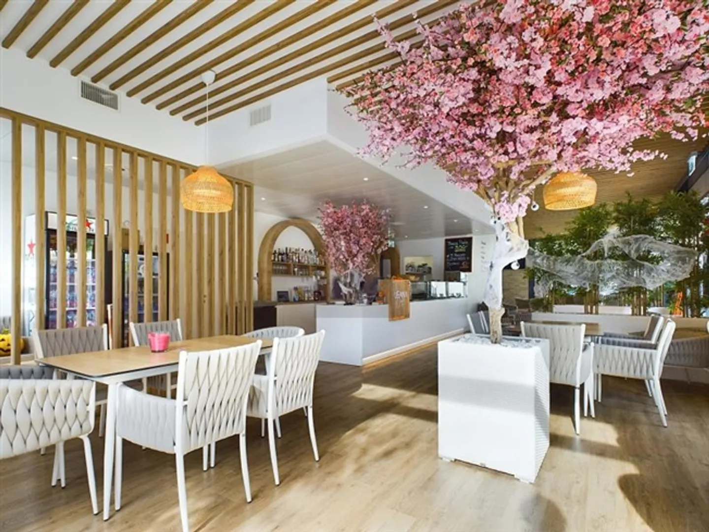 Près de la gare et du gymnase de Renens - Photo 1 sur 5