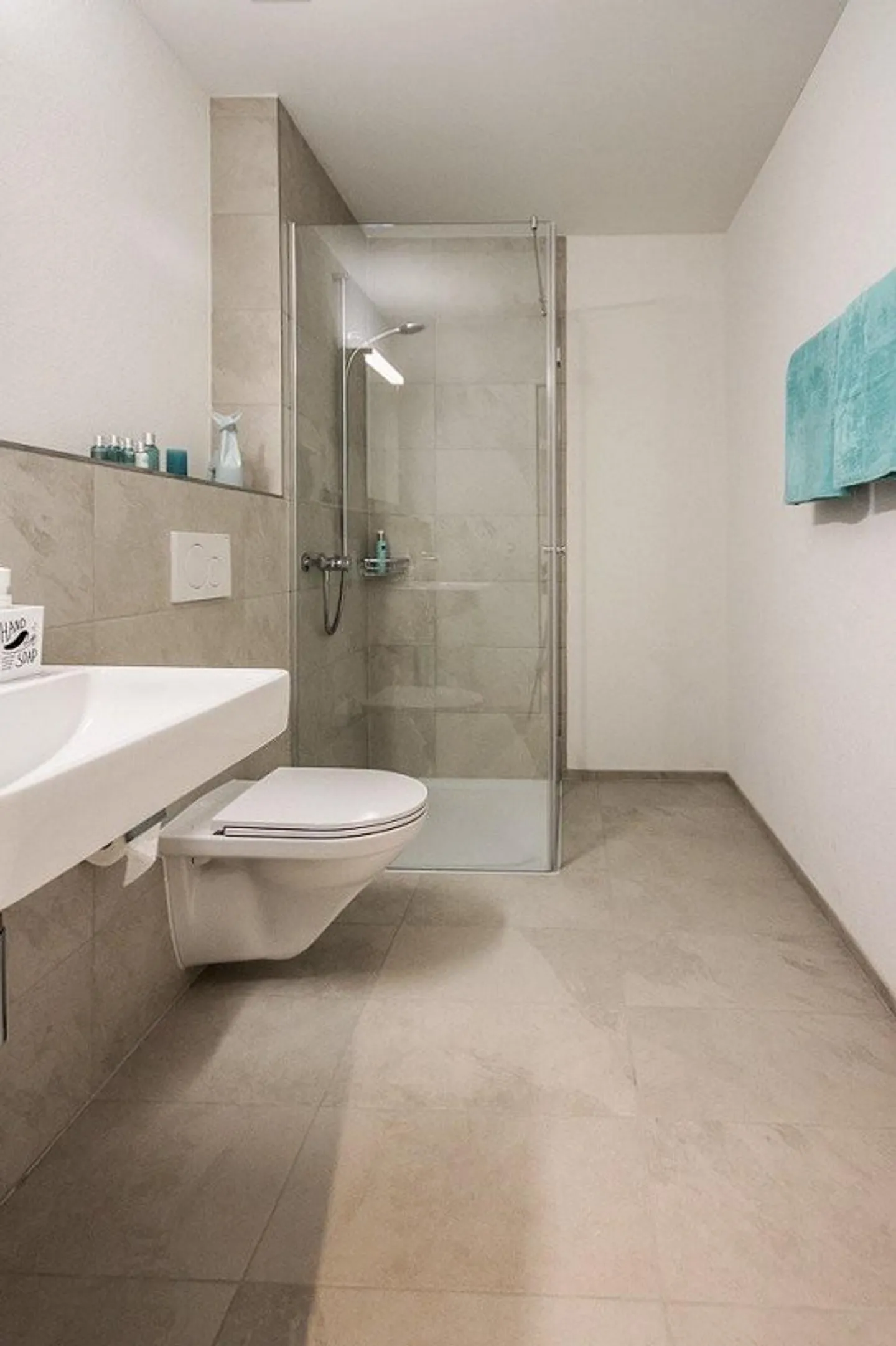 Modern Apartment in Liestal - Photo 4 of 10