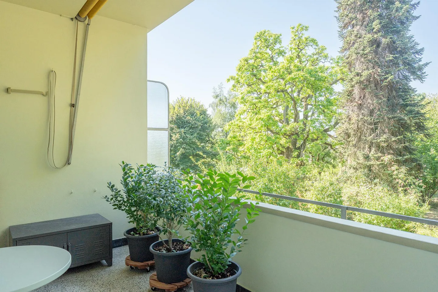 Appartement ancien avec jardin - Photo 7 sur 15