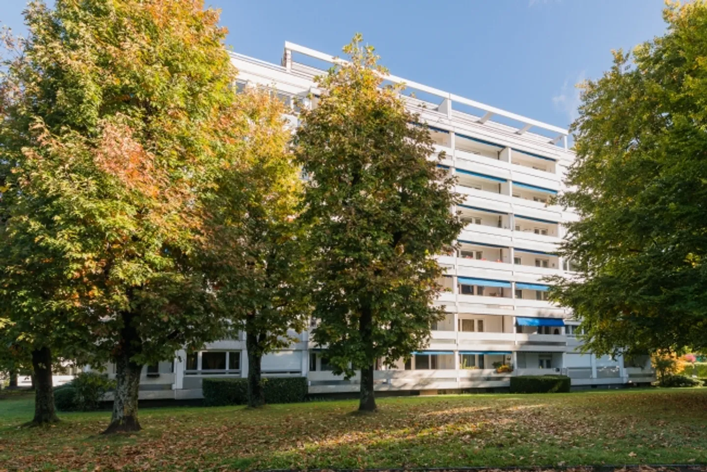 «Bel appartement de 2,5 pièces» - Foto 2 von 2