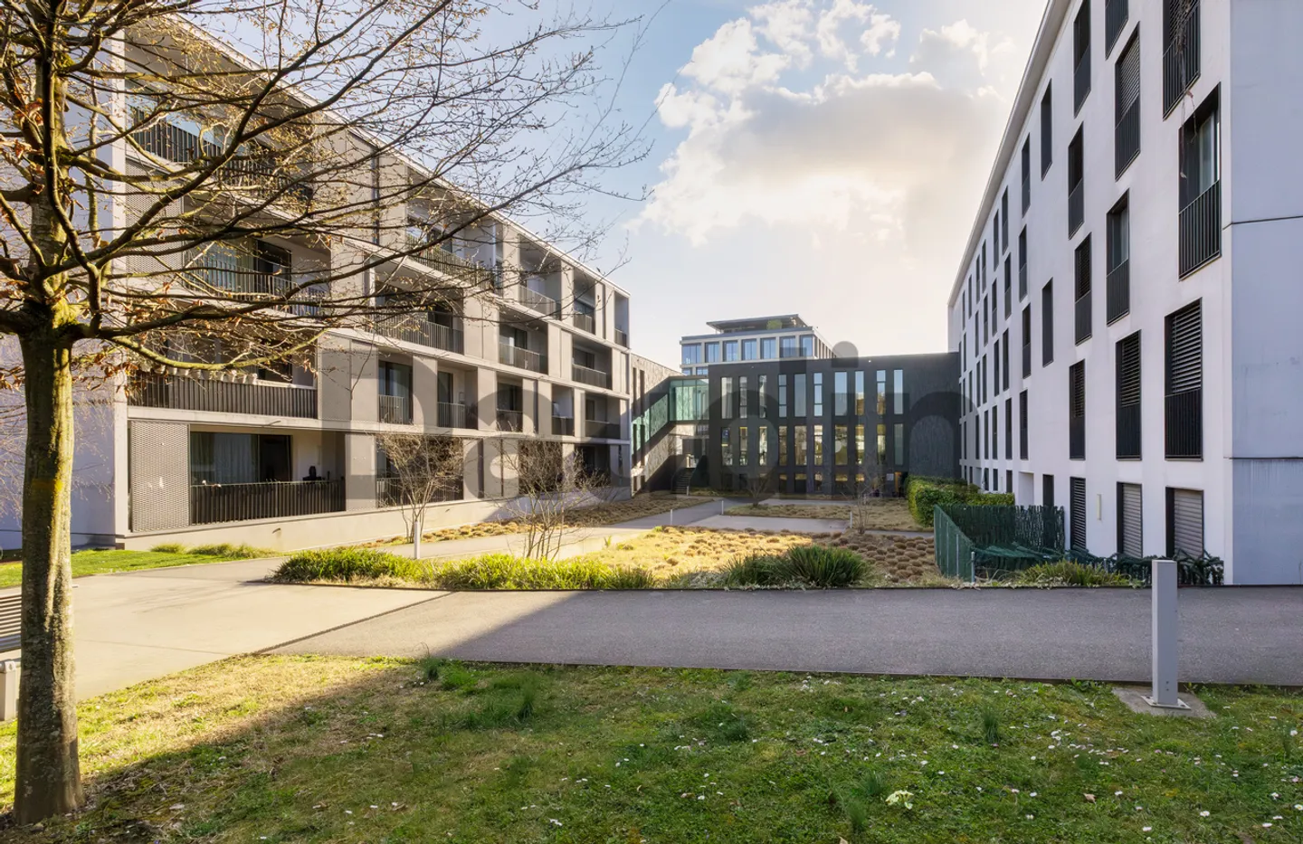 Family-Friendly Apartment in Meyrin - Photo 2 of 11