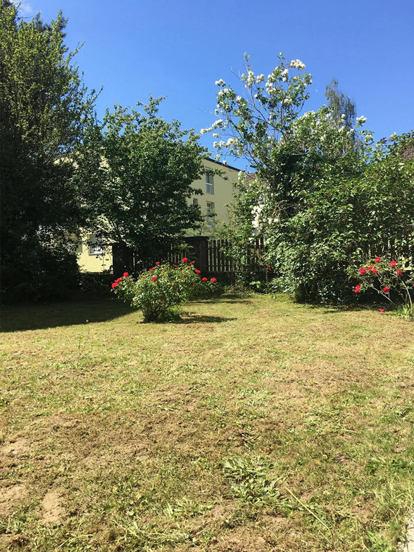 Appartamento familiare accogliente di 5,5 stanze - Foto 1 di 6