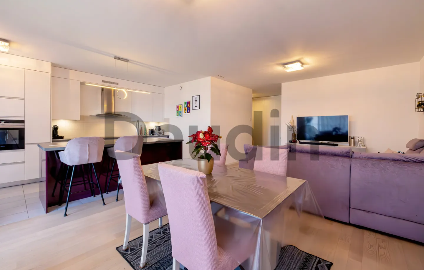 Family-Friendly Apartment in Meyrin - Photo 5 of 11